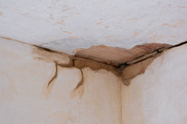 Best Sewage cleanup and water damage restoration  in Canadian Lakes, MI
