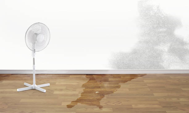 Reliable Canadian Lakes, MI Water damage restoration Solutions